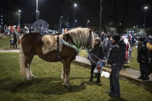 Rēzeknes Festivālu parkā pilsētas iedzīvotāji un viesi svinīgi iededz pilsētas galveno egli 32