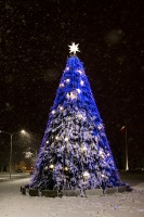 Ziemassvētku egle Alūksnē
Foto: Māris Šļivka 16