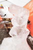 No 2020. gada 7. līdz 9. februārim Jelgavā norisinās Baltijā vērienīgākais ledus skulptūru festivāls 45