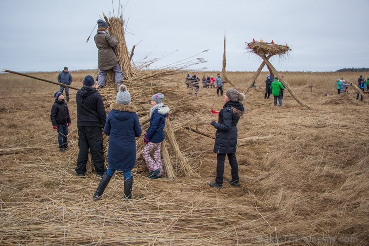 Niedru skulptūru festivāls ik gadu ļauj radoši izpausties un aizraujoši pavadīt laiku svaigā gaisā īpaši aizsargājamā dabas teritorijā 276920