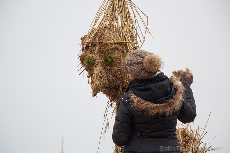 Niedru skulptūru festivāls ik gadu ļauj radoši izpausties un aizraujoši pavadīt laiku svaigā gaisā īpaši aizsargājamā dabas teritorijā 276925