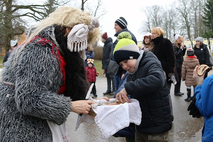 Turaidas muzejrezervātā lustīgi svin latviešu gadskārtu svētkus – Meteņus, iezīmējot zemnieku jaunā gada sākumu un simboliski metot gadskārtu metus uz 277057