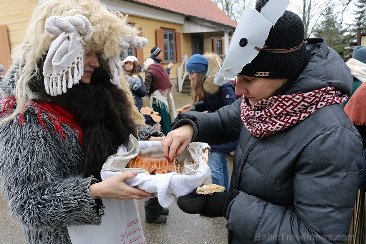 Turaidas muzejrezervātā lustīgi svin latviešu gadskārtu svētkus – Meteņus, iezīmējot zemnieku jaunā gada sākumu un simboliski metot gadskārtu metus uz 277058