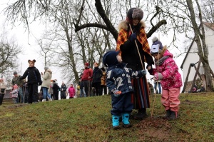 Turaidas muzejrezervātā lustīgi svin latviešu gadskārtu svētkus – Meteņus, iezīmējot zemnieku jaunā gada sākumu un simboliski metot gadskārtu metus uz 34