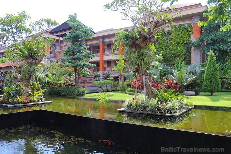 Travelnews.lv iepazīst ainavisku Bali viesnīcu «Padma Resort Ubud». Atbalsta: «Turkish Airlines» un «365 Brīvdienas» 279157