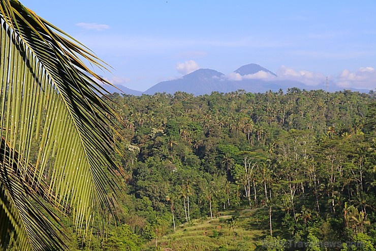 Travelnews.lv izbauda Bali džungļu viesnīcas «Ayung Resort Ubud» brokastis. «Turkish Airlines» un «365 Brīvdienas» 279766