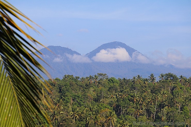 Travelnews.lv izbauda Bali džungļu viesnīcas «Ayung Resort Ubud» brokastis. «Turkish Airlines» un «365 Brīvdienas» 279769