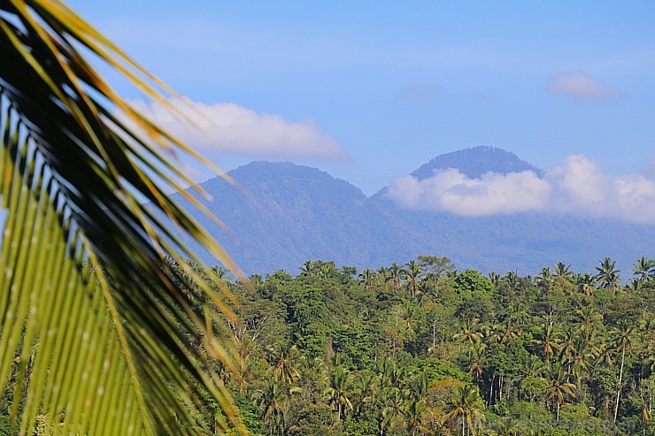 Travelnews.lv izbauda Bali džungļu viesnīcas «Ayung Resort Ubud» brokastis. «Turkish Airlines» un «365 Brīvdienas» 279793