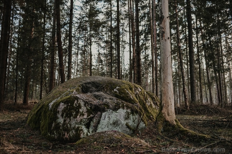 Sigulda ar akciju #satiecsevi aicina doties pastaigās pa mazāk zināmiem maršrutiem 279830