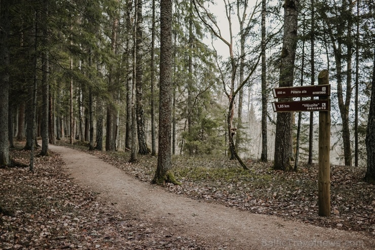 Sigulda ar akciju #satiecsevi aicina doties pastaigās pa mazāk zināmiem maršrutiem 279849