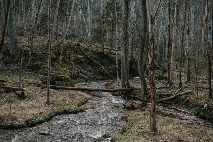 Sigulda ar akciju #satiecsevi aicina doties pastaigās pa mazāk zināmiem maršrutiem 279900