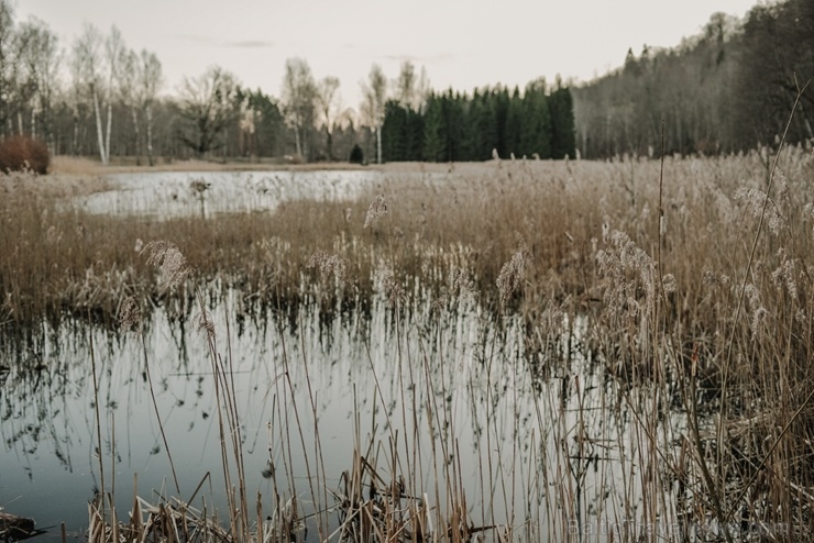 Sigulda ar akciju #satiecsevi aicina doties pastaigās pa mazāk zināmiem maršrutiem 279914