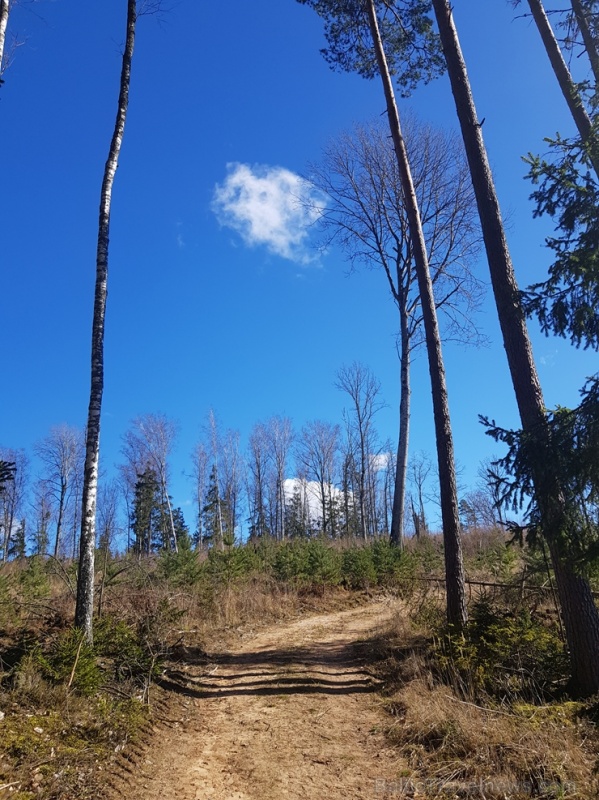 Staigājot pa taku, ir iespējams aplūkot augu, sūnu, ķērpju un kukaiņu daudzveidību, dižkokus, Jāņupītes stāvkrastu, kā arī novērtēt 2005. gada orkāna  280135