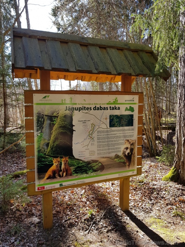 Staigājot pa taku, ir iespējams aplūkot augu, sūnu, ķērpju un kukaiņu daudzveidību, dižkokus, Jāņupītes stāvkrastu, kā arī novērtēt 2005. gada orkāna  280143