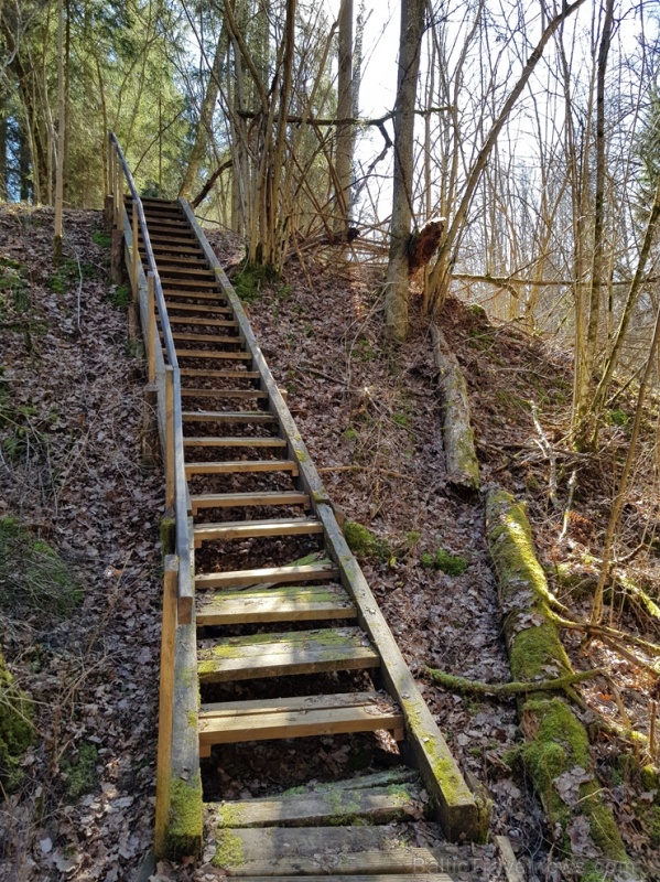 Staigājot pa taku, ir iespējams aplūkot augu, sūnu, ķērpju un kukaiņu daudzveidību, dižkokus, Jāņupītes stāvkrastu, kā arī novērtēt 2005. gada orkāna  280144