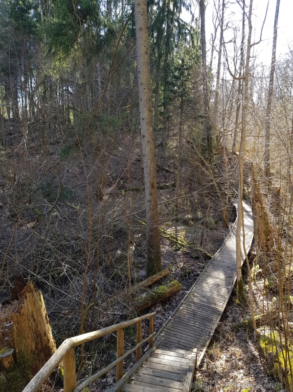 Staigājot pa taku, ir iespējams aplūkot augu, sūnu, ķērpju un kukaiņu daudzveidību, dižkokus, Jāņupītes stāvkrastu, kā arī novērtēt 2005. gada orkāna  280145