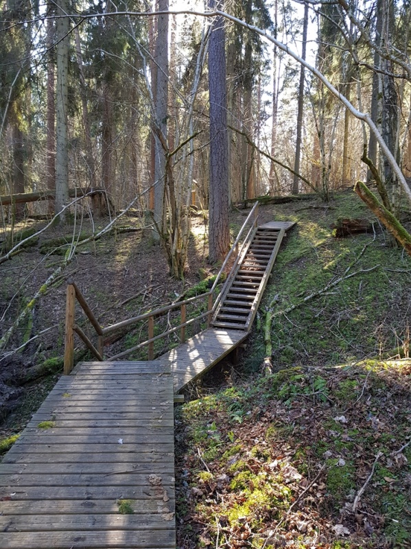 Staigājot pa taku, ir iespējams aplūkot augu, sūnu, ķērpju un kukaiņu daudzveidību, dižkokus, Jāņupītes stāvkrastu, kā arī novērtēt 2005. gada orkāna  280146