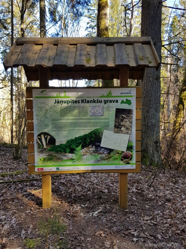 Staigājot pa taku, ir iespējams aplūkot augu, sūnu, ķērpju un kukaiņu daudzveidību, dižkokus, Jāņupītes stāvkrastu, kā arī novērtēt 2005. gada orkāna  280150