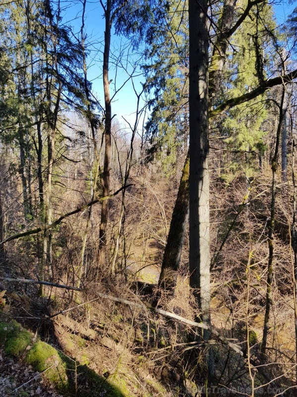 Staigājot pa taku, ir iespējams aplūkot augu, sūnu, ķērpju un kukaiņu daudzveidību, dižkokus, Jāņupītes stāvkrastu, kā arī novērtēt 2005. gada orkāna  280151