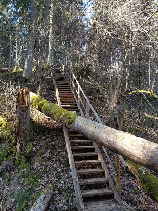 Staigājot pa taku, ir iespējams aplūkot augu, sūnu, ķērpju un kukaiņu daudzveidību, dižkokus, Jāņupītes stāvkrastu, kā arī novērtēt 2005. gada orkāna  280154