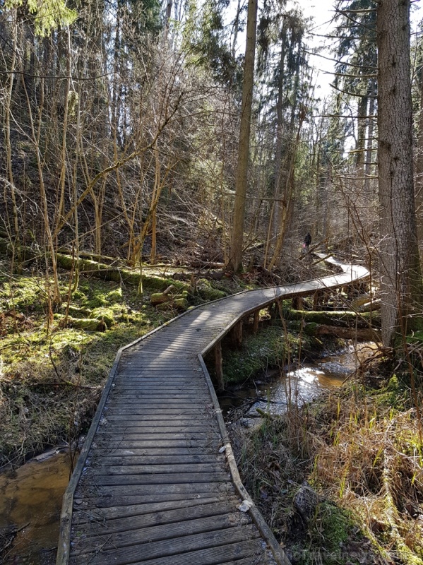 Staigājot pa taku, ir iespējams aplūkot augu, sūnu, ķērpju un kukaiņu daudzveidību, dižkokus, Jāņupītes stāvkrastu, kā arī novērtēt 2005. gada orkāna  280155