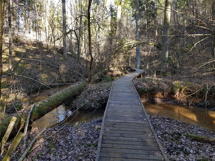 Staigājot pa taku, ir iespējams aplūkot augu, sūnu, ķērpju un kukaiņu daudzveidību, dižkokus, Jāņupītes stāvkrastu, kā arī novērtēt 2005. gada orkāna  280156