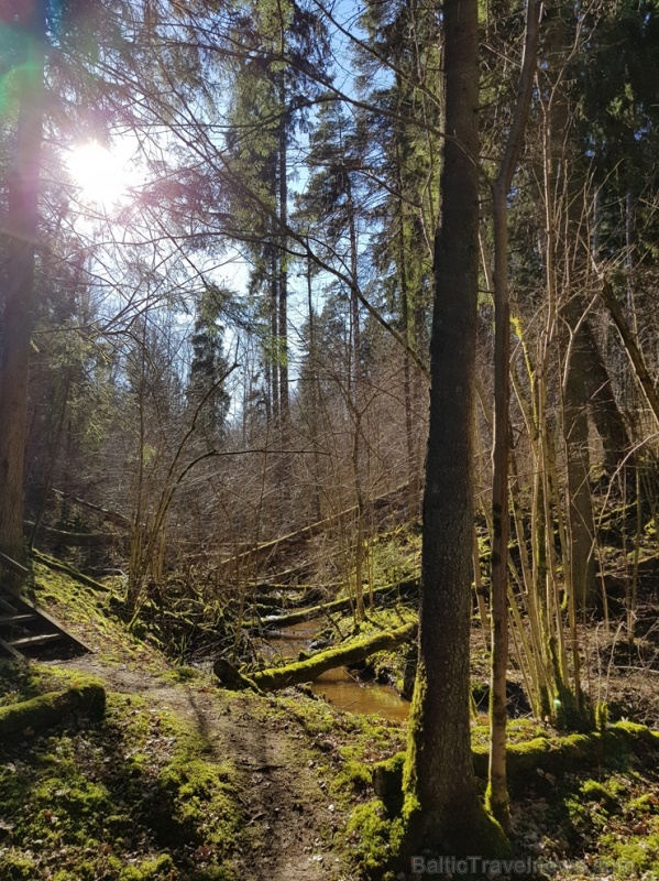 Staigājot pa taku, ir iespējams aplūkot augu, sūnu, ķērpju un kukaiņu daudzveidību, dižkokus, Jāņupītes stāvkrastu, kā arī novērtēt 2005. gada orkāna  280157