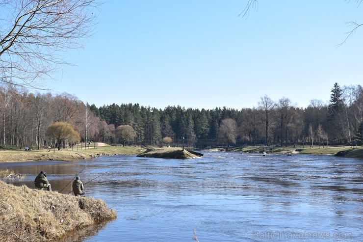 Valmieras pilsēta un Gaujas krasti lēnām plaukst un ir pavasara gaidās 280201