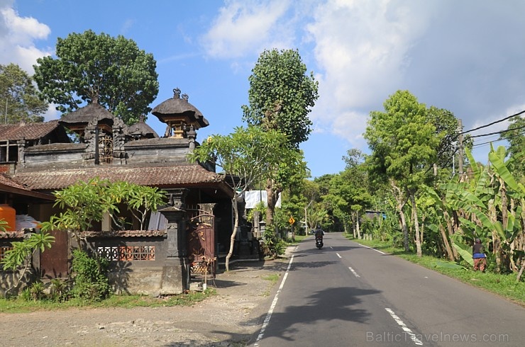 Travelnews.lv piedāvā fotomirkļus no Bali ielas satiksmes dzīves. «Turkish Airlines» un «365 Brīvdienas» 280339