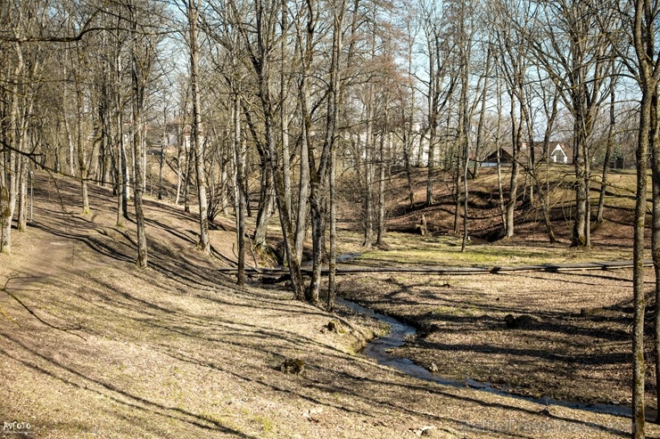 Madona ik mirkli kļūst aizvien pavasarīgaka un ziedošāka 280380