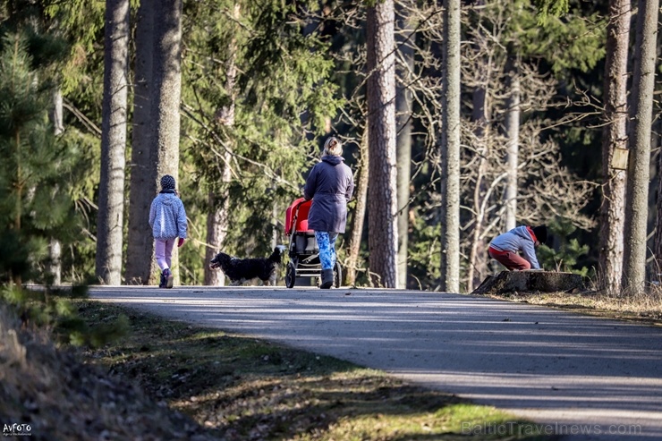 Madona ik mirkli kļūst aizvien pavasarīgaka un ziedošāka 280392