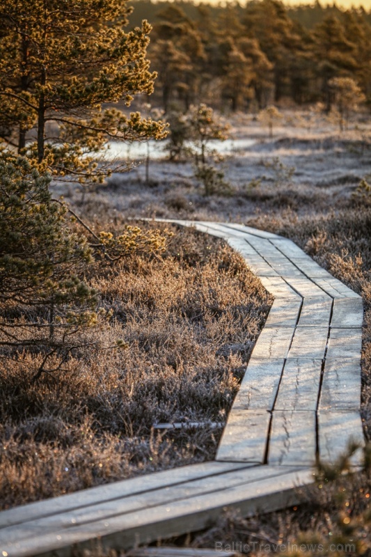 Lielo Ķemeru tīreli saullēktā pielej silti gaismas stari 280519