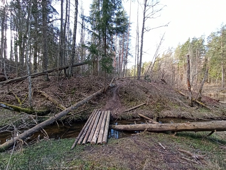 Abula dabas taka Valmieras pusē ir apmēram 12 kilometrus gara un ved caur Abula kreisā krasta mežiem, klajumiem un arī muižu apbūvēm 280556