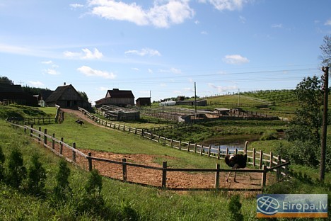 Krāslavas rajonā Robežniekos atrodas Eksotisko putnu mini zoodārzs Viesturi. Fotogalerija: INTERREG IIIA projekta SII-050 konsultāciju ietvaros 15130