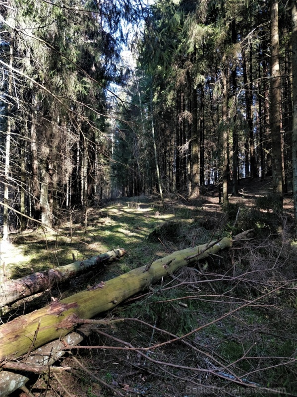 Dobeles pusē, ievērojot valstī noteiktos drošības nosacījumus, var baudīt pavasarīgas pastaigas 280668