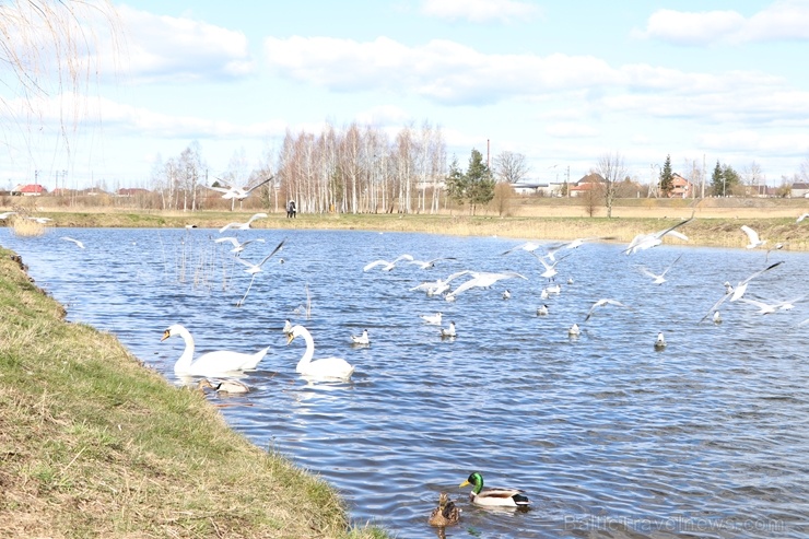 Salaspils pilsētas skati. Foto: Laura Siliņa 280803