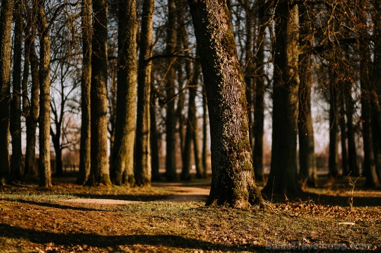 Parks atrodas līdzās Valmiermuižas alus darītavai un rūpi par tā apdzīvošanu un kultūrvēsturiskās vides saglabāšanu un atjaunošanu tur 