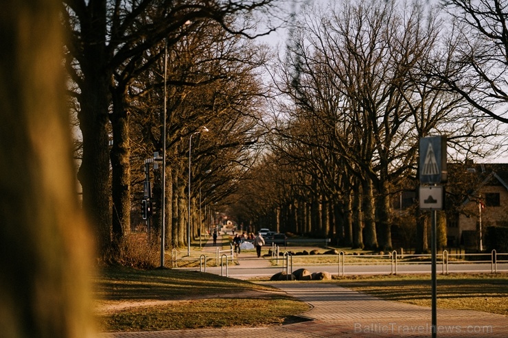 Parks atrodas līdzās Valmiermuižas alus darītavai un rūpi par tā apdzīvošanu un kultūrvēsturiskās vides saglabāšanu un atjaunošanu tur 