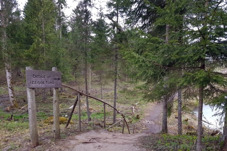 Viesatas upesloku dabas taka Tukuma  pusē ir ārkārtīgi skaista un patiks garāku pastaigu cienītājiem 281434