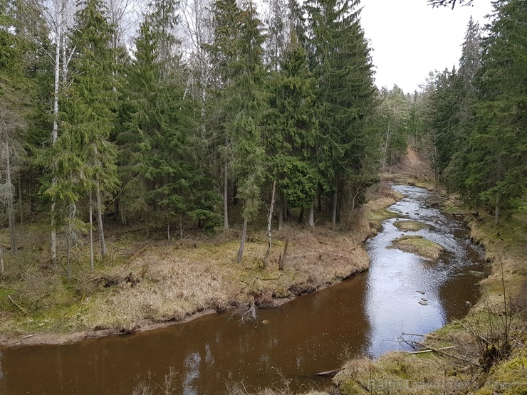 Viesatas upesloku dabas taka Tukuma  pusē ir ārkārtīgi skaista un patiks garāku pastaigu cienītājiem 281435