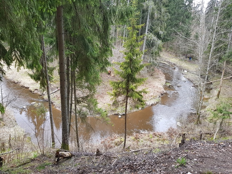 Viesatas upesloku dabas taka Tukuma  pusē ir ārkārtīgi skaista un patiks garāku pastaigu cienītājiem 281470