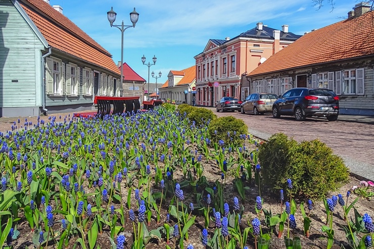 Ventspils modusies košajam pavasara ziedonim 281636