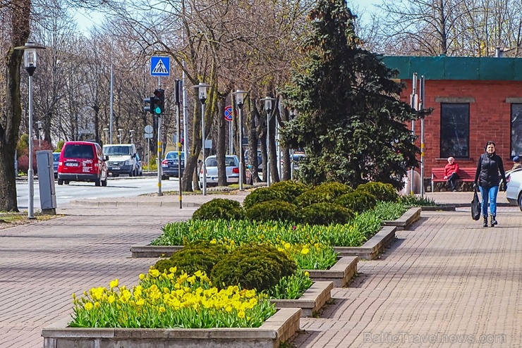 Ventspils modusies košajam pavasara ziedonim 281640