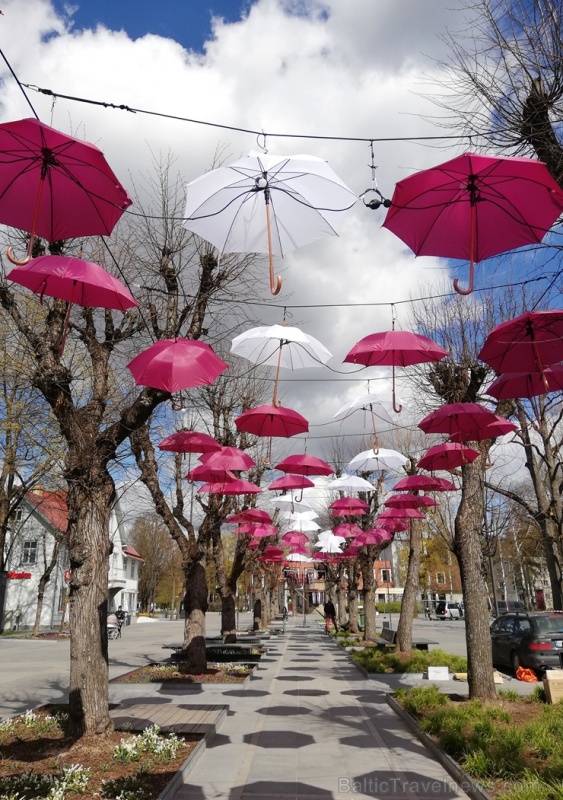 Šogad Brīvības ielu Ogrē rotā ne tikai valsts karogi, bet arī ar sarkaniem un baltiem lietussargiem izdekorēta liepu aleja 281745