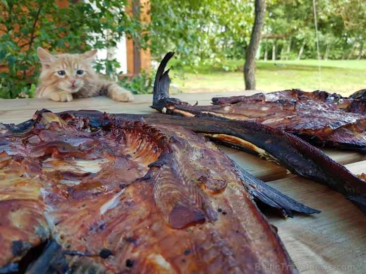 Kempings Siveri atrodas Krāslavas novada lielākā ezera Sīvera dienvidu piekrastē 282183