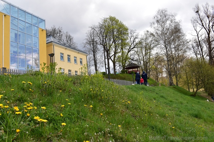 Valmierā Gaujas krastus izdaiļo saulainas pienenes un koku sulīgi zaļie pumpuri, bet parkos savas košās ziedgalviņas cēli ceļ tulpes un atraitnītes 282261