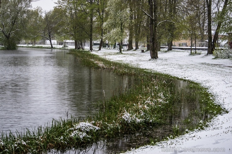 Latgalē un Vidzemē ziedošo pavasari uz brīdi nomaina balta ziema 282372