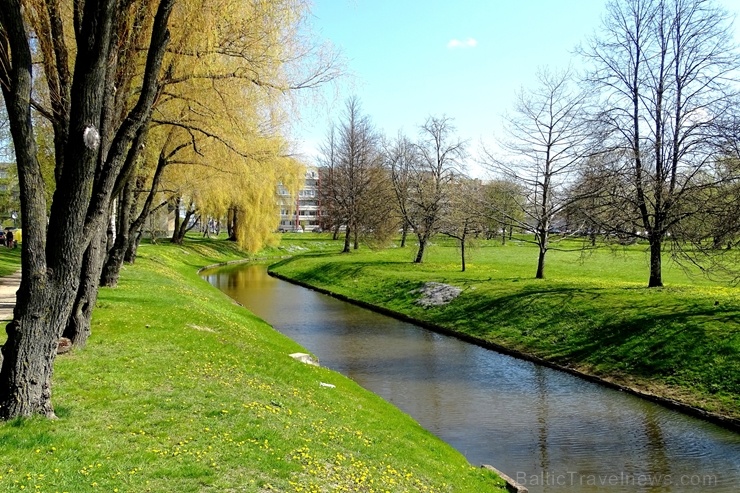 Ventspils ietērpta neskaitāmos pavasara ziedos 282472