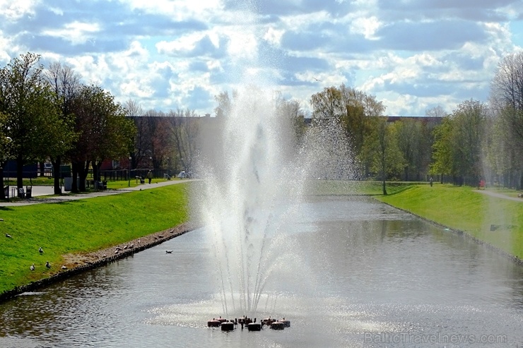 Ventspils ietērpta neskaitāmos pavasara ziedos 282481