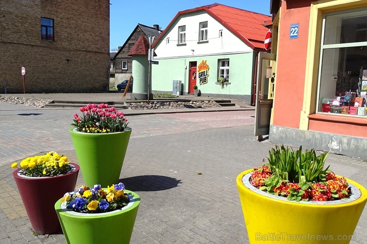 Ventspils ietērpta neskaitāmos pavasara ziedos 282491